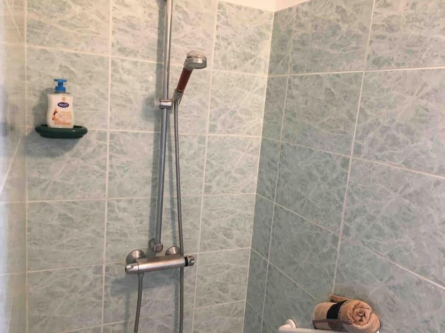 Appartement 55M2 En Beaujolais & Enedis A 15 Min Saint-Germain-Nuelles Eksteriør bilde